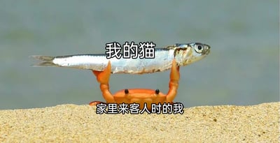 这是一张静态的网络搞笑梗图，拍摄于沙滩浅滩区域，画面主体是一只橙色的螃蟹，它用两只大钳子高高举起一条银白色的小鱼，背景是模糊的浅蓝色水域。图中添加了两行调侃性文字，上方文字“我的猫”对应被举起的小鱼，将小鱼拟作养猫人的猫咪；下方文字“家里来客人时的我”对应举着鱼的螃蟹，将螃蟹拟作养猫人。通过拟人和比喻的手法，生动调侃了在家庭来客时，养猫人依旧会把自家猫咪的需求放在心上，精心伺候猫咪的日常状态，精准戳中养猫群体的共鸣点，风格搞笑接地气。