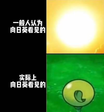 这是一张玩《植物大战僵尸》游戏梗的上下对比图：
- 上半部分配文「一般人认为向日葵看见的」，画面是明亮的太阳，契合大众对向日葵追太阳的常规认知；
- 下半部分配文「实际上向日葵看见的」，画面是《植物大战僵尸》里的豌豆射手，结合游戏内向日葵与豌豆射手常处于同一阵营、向日葵总是朝向豌豆射手的场景，用认知错位制造搞笑的脑洞效果。