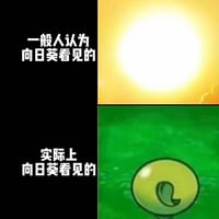 植物大战僵尸