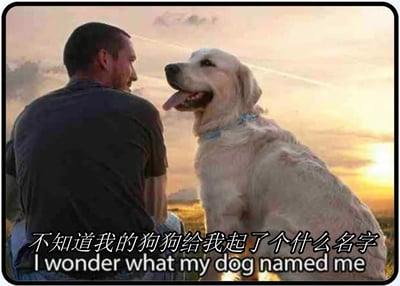 图片中一名男子蹲坐在夕阳下，侧身温柔地看向身旁吐着舌头的金毛犬。画面底部配有文字：'不知道我的狗狗给我起了个什么名字 I wonder what my dog named me'，以幽默的视角想象宠物对主人的称呼，营造出温馨又有趣的氛围。