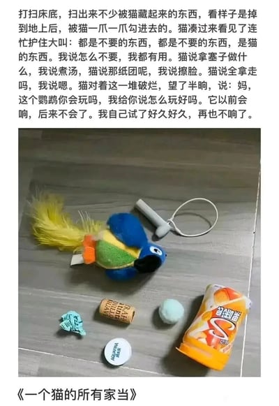 这是一则充满温馨趣味的图文结合宠物内容，上方以拟人化的文字讲述了主人打扫床底时，发现被猫咪悄悄藏起来的一堆日常小物件，猫咪先是护住这些物品声称是自己的东西，在得知主人要拿走这些“破烂”后，又主动拿出自己不会响的鹦鹉玩具，向主人求助怎么让它恢复发声，字里行间尽显猫咪的可爱与依赖；下方的实拍图片展示了猫咪藏的这些“家当”，包括一只带黄色羽毛的毛绒鹦鹉玩具、软木塞、皱纸团、塑料瓶盖、带挂绳的小物件和果缤纷空瓶，这些被主人忽略的小物件，在猫咪眼里都是珍贵的宝贝，整体内容治愈又有趣，容易引发养宠人群的共鸣。