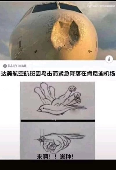 这是一张图文混排的多图拼接恶搞图，分为三个部分：最上方是达美航空飞机机头被鸟撞击后出现明显破损的真实照片，图片左侧带有《每日邮报（DAILY MAIL）》的标识，下方配有文字说明“达美航空航班因鸟击而紧急降落在肯尼迪机场”，还原了一起真实的航空鸟击事件；中间部分是一幅手绘线稿，将鸟的翅膀拟人化为类似人手的爪子，进行夸张化创作；最下方是另一幅线稿，鸟的拟人化爪子变成了握拳的姿态，同时配文“来啊！！崽种！！”，将鸟拟人化为一副不服输、主动挑衅的形象，用幽默恶搞的方式消解了航空事故的危险性，通过真实事件与夸张创作的反差制造搞笑效果。