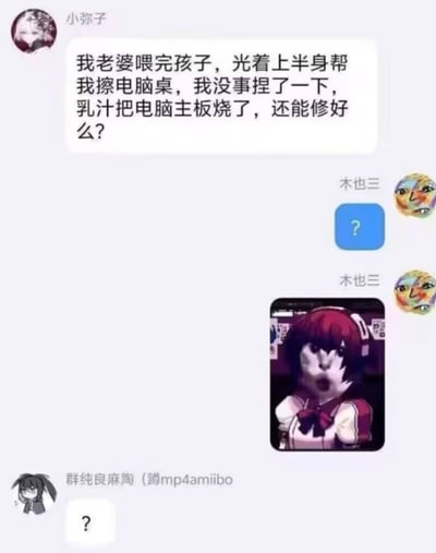 这是一张微信群聊记录截图，用户「小弥子」在群里提出一个非常离谱的问题：称自己老婆喂完孩子后光着上半身擦电脑桌，自己捏了一下导致乳汁滴到主板上把电脑烧坏，询问是否能修好。其他群成员「木也三」和「群纯良麻陶（蹲mp4amiibo）」分别发送了问号和一张猫脸与动漫人物身体合成的震惊表情图，表达对这件事的疑惑与离谱感，整体内容十分荒诞搞笑，充满了无厘头的氛围。