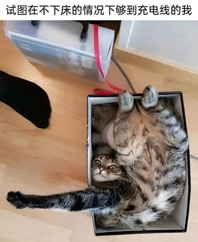 一只猫躺在盒子里，努力伸展爪子试图够到不远处的充电线。图片上方配有文字'试图在不下床的情况下够到充电线的我'，用猫咪的可爱动作幽默地表现了人们不想起床却想拿到充电线的懒惰日常。