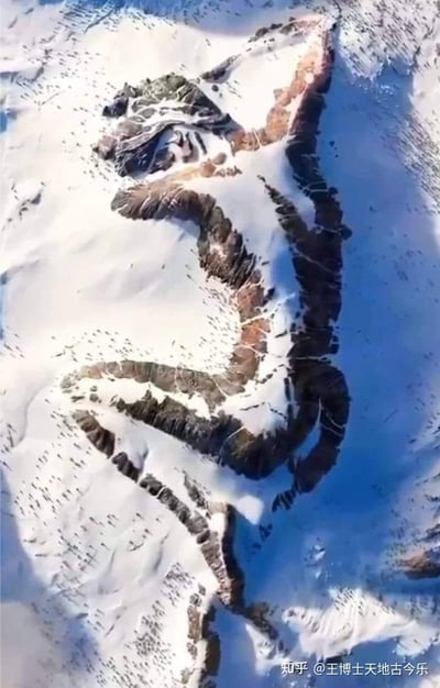 这是一张高空视角下的雪山摄影作品，大面积的积雪与裸露的深色山地在光影的配合下，形成了酷似一条蜿蜒盘踞的巨龙的视觉错觉。深色山体构成巨龙的躯干与纹路，雪地作为背景凸显出这个奇妙的自然巧合，给人带来强烈的视觉震撼，是自然景观中难得一见的趣味视觉错位现象。