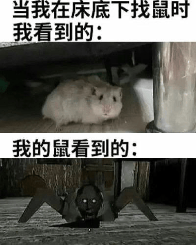 图片分为上下两部分，通过视角对比制造幽默效果。上半部分文字为“当我在床底下找鼠时 我看到的：”，配图是一只白色仓鼠呆萌地躲在床底；下半部分文字为“我的鼠看到的：”，配图是一个造型恐怖的蜘蛛状生物（带有类似人脸的头部）从黑暗中爬出。通过人类视角看到的可爱宠物与宠物视角看到的“恐怖怪物”形成强烈反差，突出双方视角差异的趣味性。