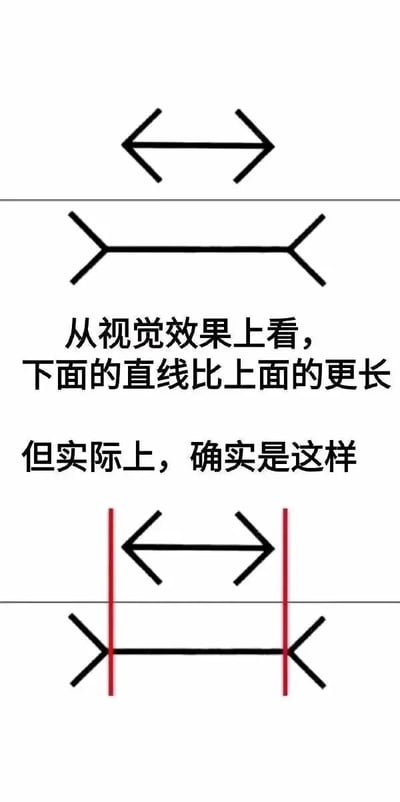 这是一张打破常规视觉错觉认知的趣味对比图，整体为竖版静态图，采用上下对比的布局。图的上半部分是一条两端带有向内箭头的黑色直线，下半部分是一条两端带有向外箭头的黑色直线；中间配有文字“从视觉效果上看，下面的直线比上面的更长”，紧接着用“但实际上，确实是这样”打破大众对经典缪勒-莱耶错觉的固有认知，最后在图的最下方用红色竖线标注出两条直线的端点，直观地展示出下方带向外箭头的直线实际长度确实比上方的直线更长，通过这种反常规错觉的设定制造出趣味反差，让观者产生意外感。