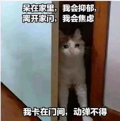 这是一张静态图文混排的表情包，主体是一只白灰相间的真实猫咪，它卡在门与墙壁的狭窄缝隙中，露出上半身和两只前爪，眼神茫然无措，身体无法动弹。图片搭配三段贴合情绪的文字：“呆在家里，我会抑郁，离开家门，我会焦虑”“我卡在门间，动弹不得”，用猫咪的物理困境隐喻当代人在独处与社交之间的情绪两难——既难以忍受独处时的压抑感，又对出门社交充满焦虑，最终陷入一种动弹不得的纠结状态，精准戳中了很多人的情绪痛点，适合用来表达这种矛盾的焦虑心情。
