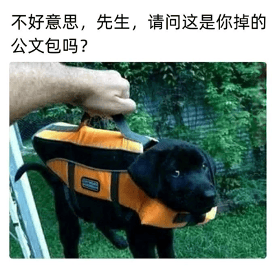 图片上方配有文字“不好意思，先生，请问这是你掉的公文包吗？”，下方是一只黑色小狗穿着橙黑相间的救生衣，被一只手提着前爪位置的救生衣把手，小狗表情无辜地看向镜头。背景是绿色的植物和网状围栏，整体通过将穿救生衣的小狗形象与“公文包”进行幽默联想，制造出搞笑的误会场景。