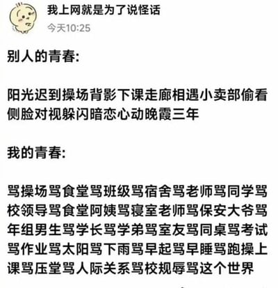 这张图对比了“别人”的青春和“我”的青春，上半部分用文艺细腻的语言描述了理想中的青春校园生活，而下半部分则用密集的“骂”字，以及各种学校场景和人物，表达自己的青春充满了抱怨、吐槽和琐事，充满无奈和自嘲。文本形式简单粗暴，用“骂”来替代应有的美好回忆，带有强烈的网络调侃氛围和情绪宣泄色彩。极具共鸣感，适合学生群体、校园相关社交场景的分享。