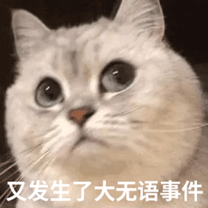 这张图展示了一只浅灰色银渐层猫咪，它圆睁双眼，抬头凝视，脸上露出错愕又无奈的表情，图片下方配有文字“又发生了大无语事件”。通过猫咪的生动表情搭配网络热词，精准传递出遇到离谱、难以理解的事情时的无语、吐槽情绪，适合用来在社交场景中抒发这类感受。