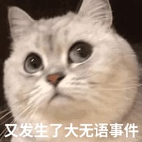 银渐层猫咪