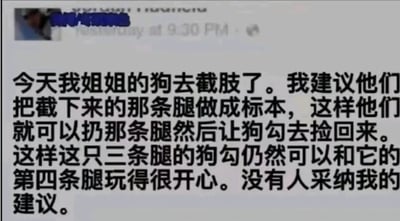 这是一张聊天记录截图，内容为用户分享姐姐家的狗截肢后的经历，并调侃建议将截下的腿做成标本让狗捡，以保留‘第四条腿’的互动乐趣，但该建议未被采纳。整体风格带有黑色幽默，文字占据主要画面，左上角可见用户头像区域。