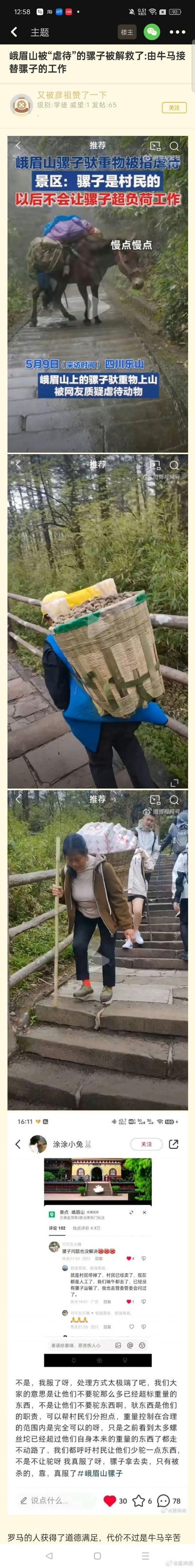 这是一则论坛帖子的拼接截图，聚焦峨眉山骡子驮重物被指虐待事件的后续：5月9日该事件引发网友关注，景区回应将规范骡子负重，结果后续却出现人工驮运重物上山的场景，骡子被村民售卖。帖子中包含事件初期的新闻报道截图、人工驮运的现场实拍图，以及网友评论和楼主的吐槽，不少网友认为这种处理方式过于极端，原本只是呼吁减轻骡子负重，结果反而让骡子面临被宰杀的命运，同时换成人工驮运也十分辛苦，引发广泛争议。