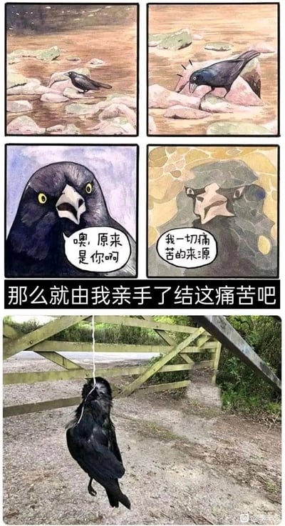 这是一组由四格漫画和一张现实照片拼接而成的黑色幽默梗图。前两格漫画呈现一只乌鸦在河边的石头上活动，似乎被石头硌到；第三格是乌鸦的特写，它瞪大双眼、张开嘴巴，露出惊讶的神情，配文“噢，原来是你啊”；第四格是被拟人化的石头，它有着类似乌鸦的面部形态，配文“我一切痛苦的来源”。画面下方配有文字“那么就由我亲手了结这痛苦吧”，最后是一张现实场景照片：一只乌鸦被绳子挂在户外的木架下方，视觉上像是乌鸦为了了结痛苦而“自我了结”。整组图通过荒诞的剧情和视觉错位（石头外形类似乌鸦脸），制造出黑色幽默的搞笑效果。