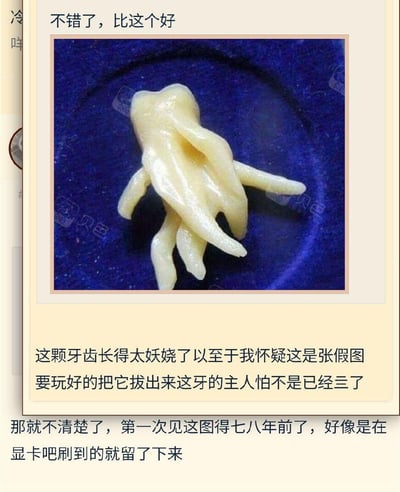 图片展示了一颗形状奇特的牙齿放在蓝色盘子上，牙齿形态怪异，引发网友讨论。图片上下配有文字评论，上方文字为“不错了，比这个好”，下方文字则表达了对牙齿真实性的怀疑：“这颗牙齿长得太妖娆了以至于我怀疑这是张假图 要玩好的把它拔出来这牙的主人怕不是已经三了”，以及关于图片来源的说明：“那就不清楚了，第一次见这图得七八年前了，好像是在显卡吧刷到的就留了下来”。