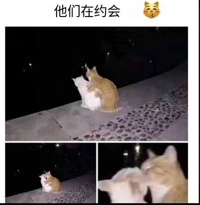 暂无描述
