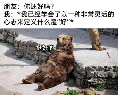 这是一张用于自嘲的网络梗图，整体分为上下两部分，上方是文字对话内容：朋友关切地询问“你还好吗？”，“我”的内心回应为“*我已经学会了以一种非常灵活的心态来定义什么是"好"*”；下方是一张实拍照片，一只棕熊放松地背靠石墙瘫坐在地面上，四肢自然摊开，神态惬意，熊的上方配有文字“挺好的”。这张图通过文字和画面的结合，幽默地展现了当代人在面对生活压力时，选择降低自我标准、自我宽慰的“摆烂”心态，用轻松的方式表达对当下状态的自嘲，容易引发同样处于压力中的网友的共鸣。