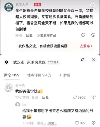 这是一张国内社交媒体平台的评论区截图，顶部为带有武汉大学官方标识的账号发布的内容，称学生期待的985、双一流头衔、超大校园湖景、丰富食堂美食、外卖可送达楼下、宿舍空调全天供应等需求，武汉大学都可以满足。内容下方的定位显示为武汉市东湖风景区，共有1159条评论，两条高赞热门评论被展示：第一条是用户“后半夜”发布的“我的英雄学院”并附带点赞表情，获得3952个赞，该内容为谐音玩梗，取“英”与武汉大学知名特色樱花的“樱”同音，“我的”对应指代自己就读的武汉大学，以此夸赞武汉大学完全符合学生对理想高校的期待；第二条是用户“bc”发布的内容，称前者的评论精辟有内涵，自己十年都想不出这样的形容，获得827个赞。截图右下角带有“@黑潮君”的水印。