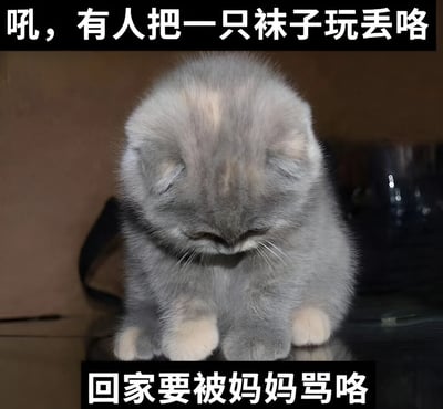 图片中是一只灰色的小猫，它低着头，耳朵耷拉着，毛茸茸的爪子向前伸出，整体姿态显得十分委屈。图片上方有黑色背景白色文字“吼，有人把一只袜子玩丢咯”，下方同样有黑色背景白色文字“回家要被妈妈骂咯”。通过拟人化的手法，将小猫塑造成像是弄丢了袜子、害怕回家被责骂的可爱形象，画面温馨又充满趣味性。