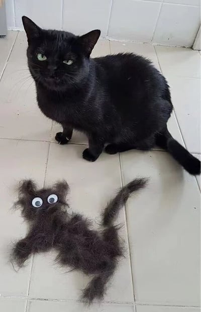 一只黑猫坐在浅色瓷砖地面上，绿色的眼睛直视前方，表情略带严肃。在它前方的地面上，有一个用猫毛堆成的小型猫咪形状，上面还贴着两个圆圆的白色眼睛，仿佛一个迷你版的小猫咪。整个场景看起来像是猫咪在好奇或严肃地打量着用自己掉落的毛发做成的小像，充满了生活趣味和宠物主人的创意。
