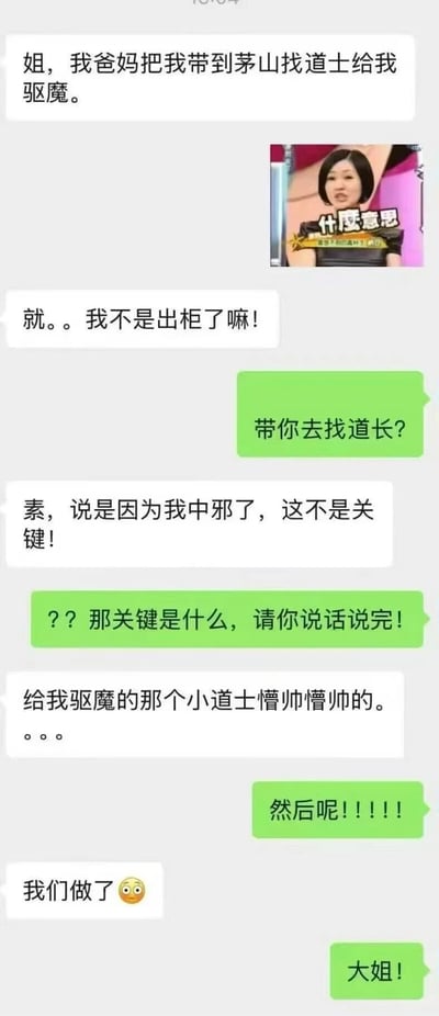 这是一张搞笑的聊天记录截图，内容讲述某人因出柜被父母误认为中邪，带去茅山找道士驱邪，却意外发现给她驱魔的小道士“懵帅懵帅的”，最后以“我们做了😉”的暧昧结尾引发姐姐震惊回复。截图中插入了一张女性表情图，配文“什么意思”，增强了对话的戏剧效果和幽默感。整个对话通过意想不到的转折（从被驱邪到与道士产生关系）制造笑点，反映了年轻人对传统观念的调侃式反抗。