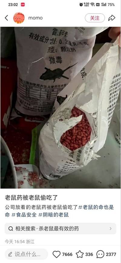 社交媒体用户“momo”发布的一张实拍图，内容为两袋老鼠药，其中一袋已被撕开，红色颗粒状药饵散落出来。配文称“公司放着的老鼠药被老鼠偷吃了”，并带有#老鼠的命也是命 #食品安全 #阴暗的老鼠 等话题标签。帖子下方显示有7666个点赞、336个收藏和2377条评论，发布时间为“今天 16:54”，地点标注为浙江。整体画面呈现出一种职场中遇到的荒诞趣事场景。