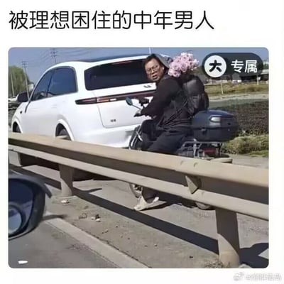 这是一张采用顶配底文形式的搞笑写实梗图，顶部标注黑色文字“被理想困住的中年男人”，画面为道路旁的抓拍场景：护栏外侧一名戴眼镜的中年男子正骑着电动车，后背背着一大簇粉色花束，扭头朝向拍摄者方向，表情略带无奈错愕，他的身旁停着一辆白色的理想品牌SUV，拍摄视角来自另一辆行驶中的汽车，左下角可见车辆后视镜。右上角有“大 专属”的标识，右下角带有微博来源水印。该图的核心梗点是利用“理想”的双关含义，既指代画面中的理想汽车，也指代人生的理想追求，调侃中年群体面临现实压力，在理想与现实的落差中挣扎的状态。
