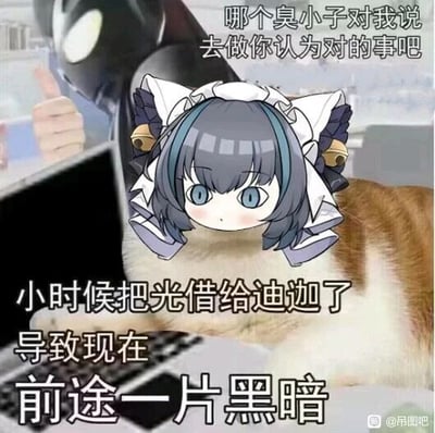 这是一张经过P图改编的图文混排网络梗图，创作者将游戏《碧蓝档案》中的角色妃咲的头像，合成在一只趴在笔记本电脑前的猫咪头部，背景搭配了特摄剧《迪迦奥特曼》中迪迦竖大拇指的形象。图中包含两段文字：上方是模拟迪迦的台词“哪个臭小子对我说去做你认为对的事吧”，下方是带有自嘲意味的内容“小时候把光借给迪迦了，导致现在前途一片黑暗”。该梗结合《迪迦奥特曼》中“迪迦借助人类的光获得力量”的剧情设定，以幽默夸张的方式调侃当代年轻人在生活或职场中面临的迷茫、缺乏动力的状态，用童年经典IP与二次元角色的组合，引发同龄人的情感共鸣。