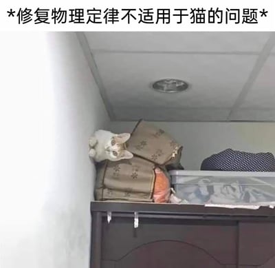 这是一张带趣味配文的静态实拍图，画面中一只白棕相间的猫咪以违背常规物理重力的姿势，将身体贴在柜子顶部的墙角与堆叠的袋子之间，前爪搭在袋子上，头部探出，一脸疑惑地看向镜头。图片顶部配文“*修复物理定律不适用于猫的问题*”，用反讽的“修复”一词，调侃猫咪总是能做出打破物理常理的动作，仿佛不受物理定律约束的特性，制造出滑稽搞笑的效果，凸显了猫咪行为的趣味性和不可预测性。