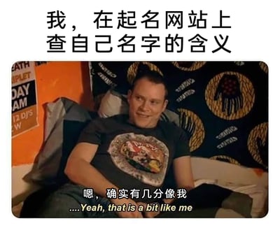 这是一张搞笑网络梗图，顶部配有文字“我，在起名网站上查自己名字的含义”，下方是截取的影视片段画面：一名男子坐在床上，身体靠在靠垫上，面带尴尬又勉强的笑意，眼神带着一丝无奈。画面下方配有中文字幕“嗯，确实有几分像我”和对应的英文字幕“....Yeah, that is a bit like me”。这张图用幽默的方式调侃了起名网站上的名字含义描述往往过于笼统、空泛，缺乏精准性，以至于用户看到描述后只能尴尬又无奈地表示“确实有几分像我”，精准戳中了很多人查询自身名字含义时的真实体验，充满自嘲和搞笑的氛围。