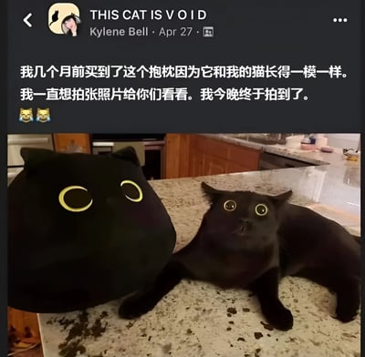 社交媒体用户Kylene Bell发布的帖子，内容为她几个月前购买了一个与自家黑猫长得一模一样的抱枕，一直想拍照分享，今晚终于拍到了。照片中，黑猫和黑色猫形抱枕并排趴在厨房台面上，两者都有着圆圆的黄色大眼睛，外形极为相似，令人忍俊不禁。