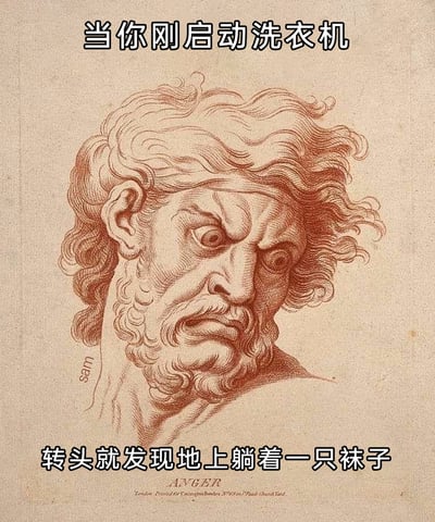 这是一张基于古典肖像画再创作的网络梗图，画面主体是一幅红棕色的古典线稿肖像，描绘了一位头发凌乱竖起、面部肌肉紧绷的男性，他眉头紧皱、双眼圆睁，表情充满暴怒感，原作是表达“愤怒”情绪的经典肖像画《ANGER》。图中添加了两行中文文字，上方为“当你刚启动洗衣机”，下方为“转头就发现地上躺着一只袜子”，用夸张的古典愤怒形象，精准还原了人们在刚启动洗衣机后，发现还有一只袜子遗漏在外的懊恼、愤怒的日常小崩溃，将古典艺术与现代生活琐事结合，极易引发大众的情绪共鸣，是贴合日常的搞笑梗图。
