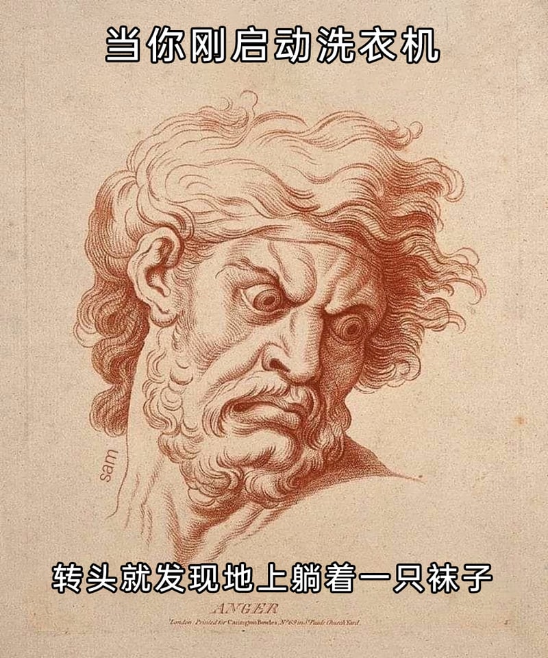 古典情绪肖像画《ANGER》