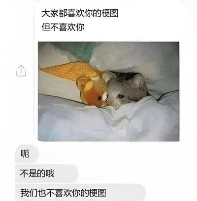 这是一张幽默自嘲风格的梗图，上方文字写着'大家都喜欢你的梗图但不喜欢你'，中间是一张仓鼠与玩具熊依偎在被窝里的可爱照片，下方有三个递进式回应气泡：'呃'、'不是的哦'和'我们也不喜欢你的梗图'，通过反差和递进式否定制造笑点。