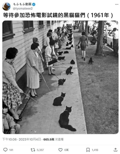 一张黑白历史照片，展示了1961年一群女性牵着黑猫在人行道上整齐排队的场景。图片配上了幽默的文字说明："等待参加恐怖電影試鏡的黑貓貓們（1961年）"，将普通的排队场景趣味化为猫咪参加电影试镜的搞笑情景。照片中可以看到穿着60年代风格服装的女性们，每人牵着一只黑猫，沿着建筑物外墙形成长长的队伍，营造出一种荒诞又可爱的视觉效果。