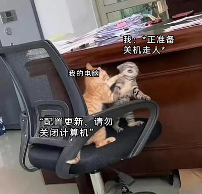 这是一张精准戳中职场人痛点的搞笑梗图，通过两只猫咪的互动场景来具象化职场日常的糟心时刻：图中虎斑猫代表准备下班的“我”，正着急想要离开，而橘猫代表“我的电脑”，紧紧抓住虎斑猫，对应着当职场人到点正准备关机下班时，电脑突然弹出“配置更新，请勿关闭计算机”的提示，强行耽误下班时间的场景，生动还原了职场人此刻的无奈与烦躁，能引发广大职场群体的强烈共鸣。