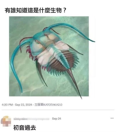 这是一张X（原推特）平台的社交媒体截图，发布者加藤軍KATOTAKA2.0在2024年9月23日发布了一张虚构的远古水生生物图像，配文询问「有誰知道這是什麼生物？」。该生物融合了初音未来的标志性蓝绿色调、双马尾形态（转化为头部的长触须）与三叶虫的躯体、尾刺结构。下方有网友在9月24日评论「初音過去」，玩了谐音梗：「初音過去」谐音「初音未来（Hatsune Miku）」，同时对应该生物类似远古三叶虫的「过去（远古）」属性，形成脑洞大开的ACG玩梗内容。