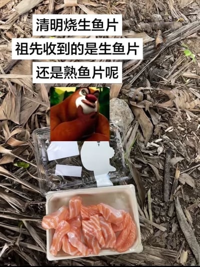 整张图为网友创作的搞笑玩梗图，背景是铺满干枯枝叶的户外泥土地面，摆放着一盒打开的、装着三文鱼生鱼片的塑料餐盒，餐盒上方叠加了国产动画《熊出没》中熊大托着下巴作疑惑思考状的表情包，表情包上方配有三行黑色文字：“清明烧生鱼片 祖先收到的是生鱼片 还是熟鱼片呢”，通过无厘头的脑洞提问调侃清明节祭祀的另类供品选择，制造诙谐搞笑的效果。
