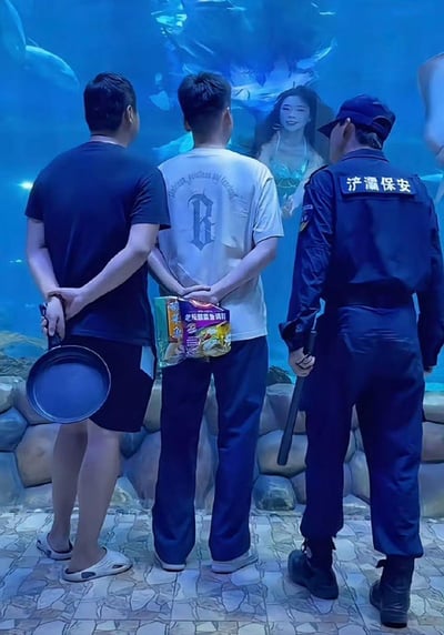三名男子站在大型水族馆前观看美人鱼表演，其中两人分别手持平底锅和方便面，另一人为保安人员。画面呈现出一种幽默的场景，暗示观众可能想对美人鱼表演进行'烹饪'或'投喂'。