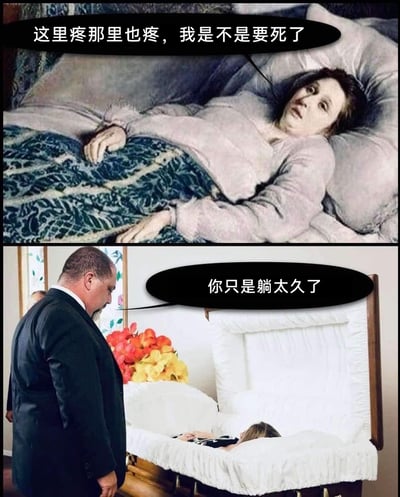 这是一张采用上下拼接形式的黑色幽默梗图。上半部分取材于爱德华·蒙克的经典画作，画中女子躺在床上，面露虚弱担忧之色，配文表现出她对身体各处疼痛的恐慌，误以为自己生命垂危；下半部分则是现实中的葬礼场景，一位男子站在打开的棺材前，配文“你只是躺太久了”，揭示出女子早已离世、正躺在棺材里的真相。通过将艺术画作与现实场景结合，用看似平淡的回应制造出荒诞的反差感，形成极具讽刺和搞笑效果的黑色幽默。