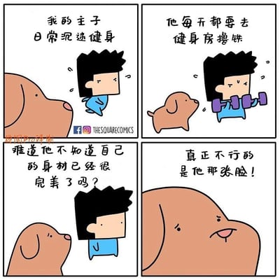 这是一组四格连环卡通漫画，以宠物狗狗的视角展开趣味吐槽：
1. 第一格：狗狗看着主人，配文道出主人日常沉迷健身的状态；
2. 第二格：主人在健身房举着哑铃撸铁，狗狗在一旁注视，配文说明主人每天坚持健身的习惯；
3. 第三格：主人歪头露出疑惑的神情，配文以狗狗的视角发出疑问，看似夸赞主人身材完美；
4. 第四格：狗狗露出嫌弃的表情，直接吐槽“真正不行的是他那张脸！”，用反差感制造扎心又搞笑的笑点，表面夸身材实则吐槽颜值，幽默拉满。
