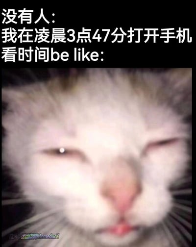 这是一张图文结合的网络表情包，上方配文“没有人：我在凌晨3点47分打开手机看时间be like:”，下方是一只猫咪的近距离面部特写：猫咪双眼半睁，眼神浑浊疲惫，眼角带有反光，神态困倦又恍惚，精准拟人化地还原了人们在深夜凌晨时分，迷迷糊糊醒来查看手机时间时，那种困意浓重、脑子混沌又带着些许无奈的情绪，很容易引发网友的共鸣。