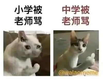 这是一张左右对比的图文混排表情包，左侧呈现一只神态委屈、姿态低落的猫咪，上方配文“小学被老师骂”，生动还原了小学阶段被老师批评时，学生内心沮丧、委屈的状态；右侧是同一只猫咪，神态放松地竖起大拇指，上方配文“中学被老师骂”，展现出中学阶段的学生被老师责骂后，已经习以为常、满不在乎的心态。图片通过猫咪的神态与动作反差，幽默地调侃了学生随着成长，面对老师批评时的心态转变，容易引发经历过校园生活的人的共鸣，充满搞笑氛围。