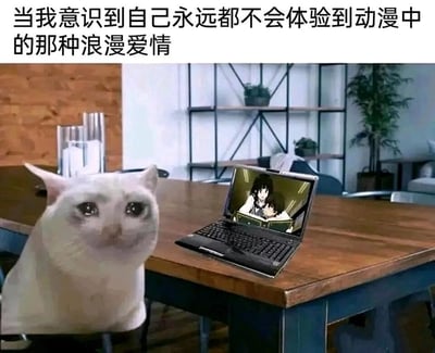 一只表情忧郁的猫坐在木质餐桌前，面前的笔记本电脑屏幕上显示着动漫中的浪漫场景。图片上方配有文字：'当我意识到自己永远都不会体验到动漫中的那种浪漫爱情'，通过猫的拟人化表情与动漫浪漫场景形成鲜明对比，幽默地表达了现实中难以找到理想爱情的无奈与失落。