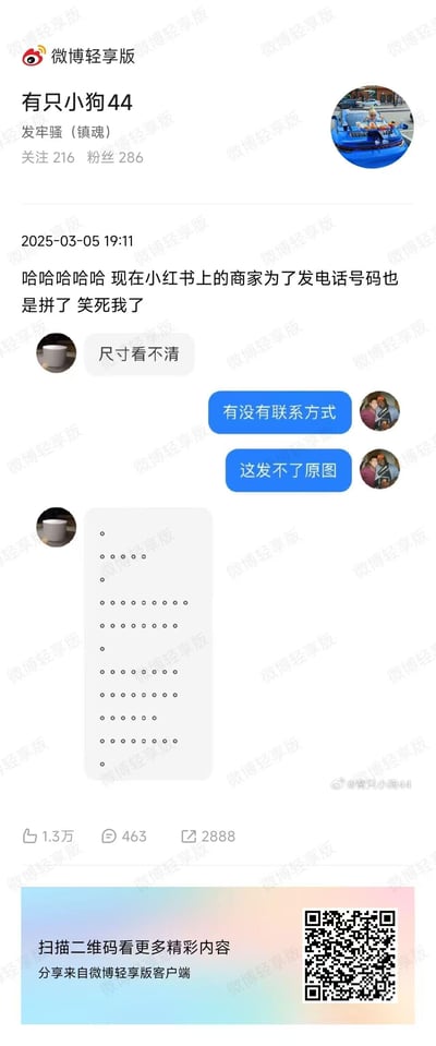 微博用户分享的截图显示，小红书商家为绕过平台限制，使用点阵图形式隐藏电话号码。截图中包含微博用户"有只小狗44"的帖子内容、评论区互动以及一张由多个点组成的模糊图像，推测这些点按特定规律排列可形成电话号码。