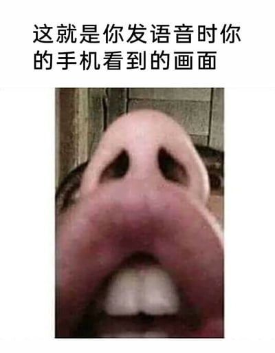 这是一张用于调侃日常发语音场景的搞笑图文梗图，图片上方配有黑色文字“这就是你发语音时你的手机看到的画面”，下方是一张近距离拍摄的真人面部特写，画面被鼻子和嘴巴完全占据，模拟人们发语音时将脸凑近手机前置摄像头的视角，通过夸张的近距离画面制造出滑稽、搞笑的效果，精准戳中人们日常发语音时的常见动作，引发共鸣。