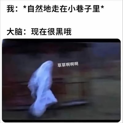 图片上半部分为文字对白，左侧写着“我：*自然地走在小巷子里*”，右侧写着“大脑：现在很黑哦”。下半部分是一段模糊的视频截图，画面中可见一个白色模糊人形物体，旁边配有“草草啊啊啊”的文字，整体表现人在小巷行走时大脑突然产生的恐怖联想导致的惊吓反应。