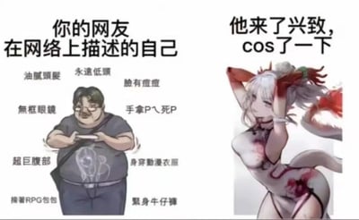 左边是网友在网络上自我描述的形象：一个戴着无框眼镜、低头看手机、顶着油腻头发、脸上有痘痘、挺着超巨腹部、身穿动漫衣服和紧身牛仔裤、挎着RPG包包的卡通男性；右边则是他兴致来潮cosplay后的形象：一位白发狐耳、身穿旗袍、身姿性感的二次元女性角色。通过左右强烈的形象反差，幽默调侃了网友网络形象与现实cosplay的巨大差距。