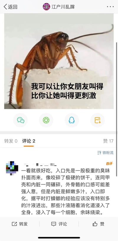 这是一张幽默讽刺类表情包，画面主体是一只蟑螂站在方糖上，配有挑衅性文字："我可以让你女朋友叫得比你让她叫得更刺激"。图片下方显示有2条评论和17个赞，其中一条评论以夸张的美食评论风格描述吃蟑螂的体验，形成黑色幽默效果。
